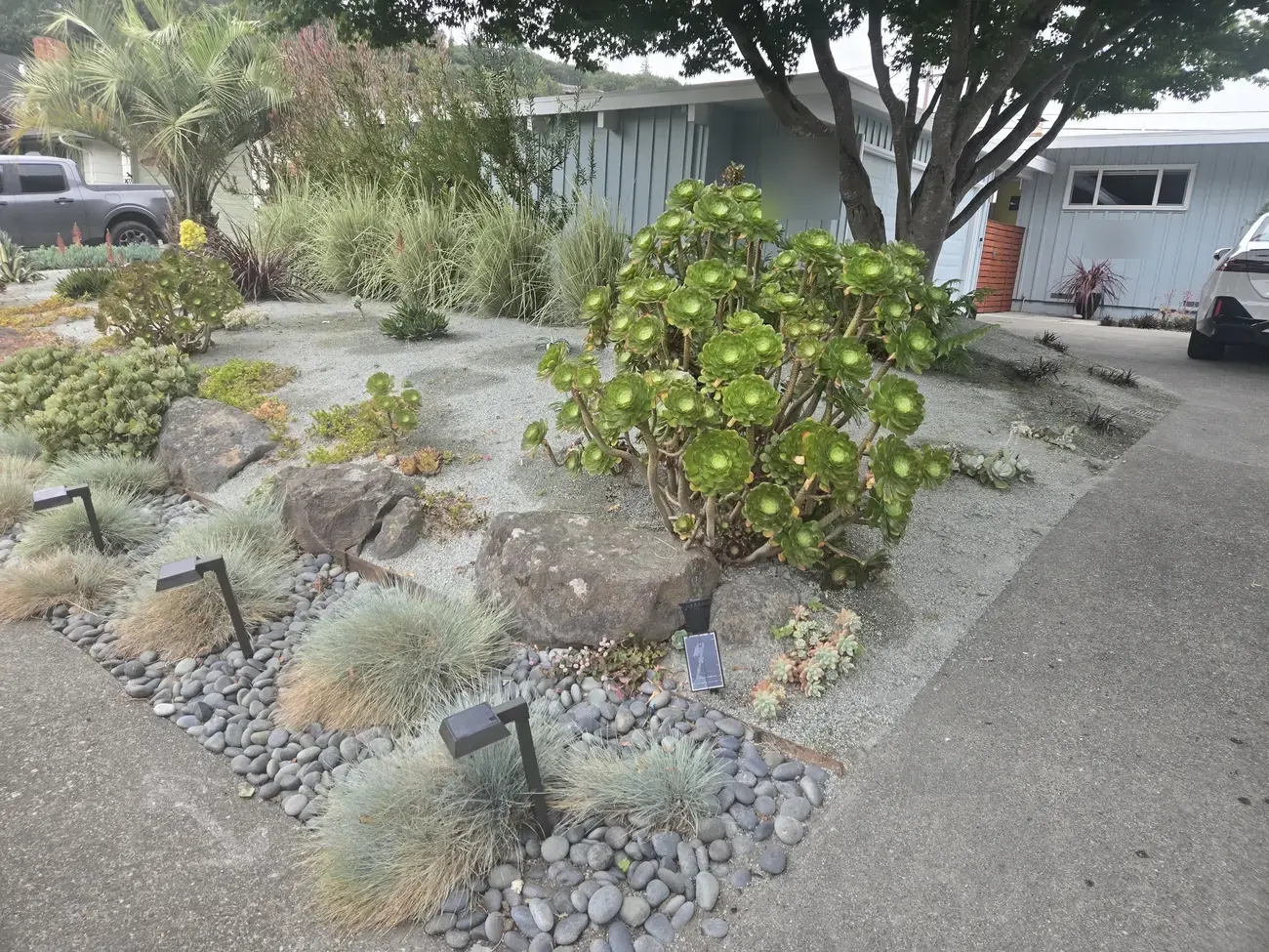 Gravel garden with boulders, pebbles, succulents and grasses beside a driveway