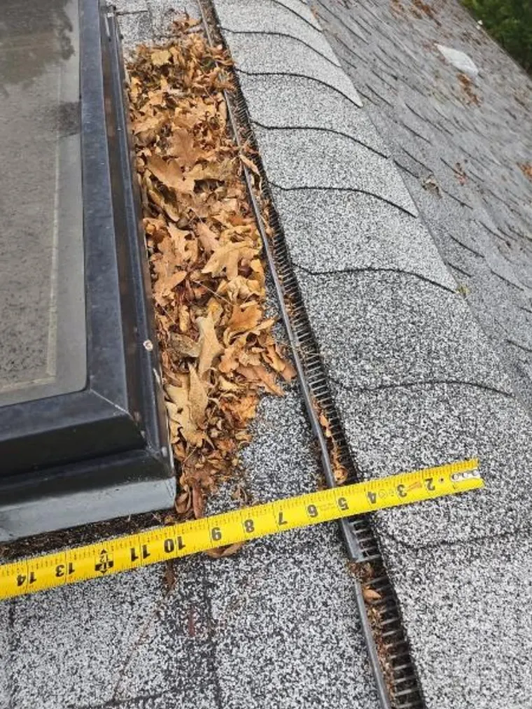 Dry oak leaves piled beside a skylight and along the roof edge