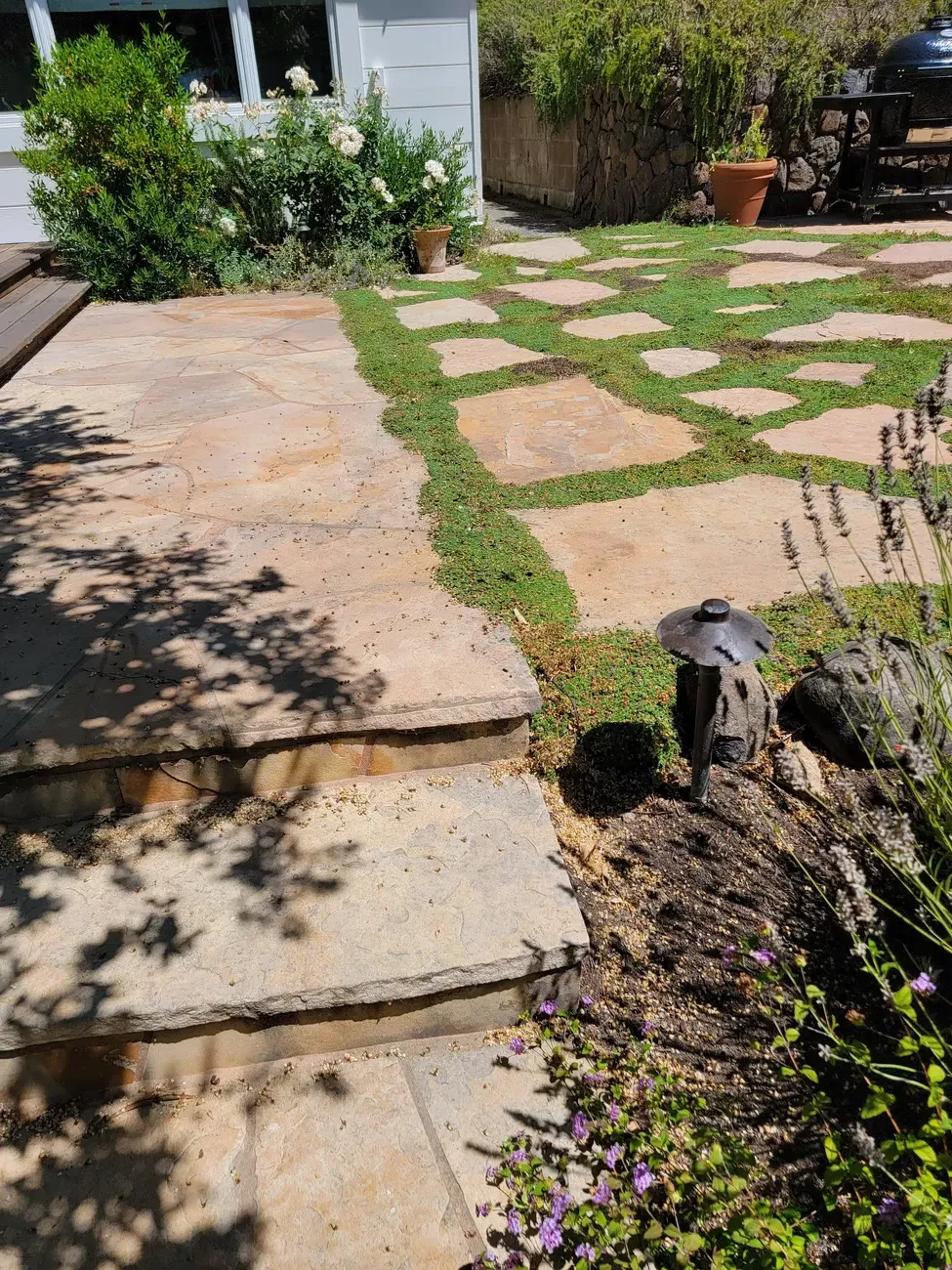 Flagstone patio with low creeping groundcover between the stones